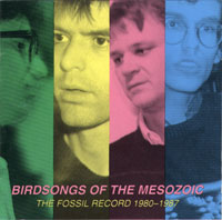  Birdsongs of the Mesozoic